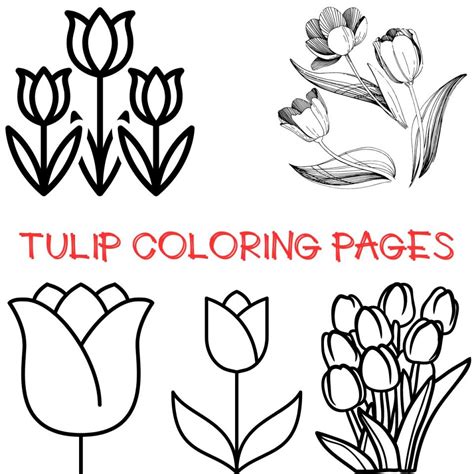 Free Tulip Coloring Pages To Celebrate Spring