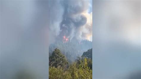 Más de 500 evacuados en el incendio forestal de la isla de la Palma