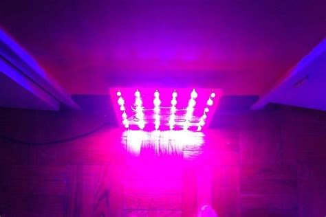 15 Easy Yet Inexpensive Diy Led Grow Light Ideas For Indoor Growing Led Grow Lights Grow