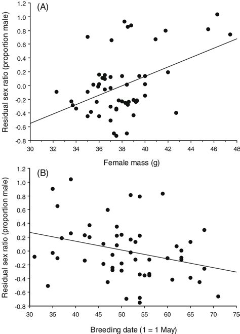 Scatter Plot Of The Relationship Between Brood Sex Ratio Proportion Of