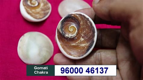 Raja Gomati Chakra Benefits And Uses In