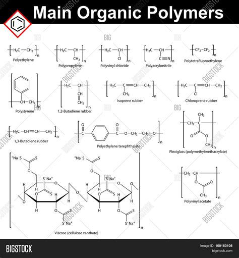 Main Organic Polymers Vector & Photo (Free Trial) | Bigstock