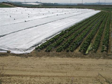 Manta T Rmica Para Agricultura Texdelta