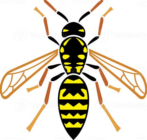 Wasp Insect Illustration 11630281 Png