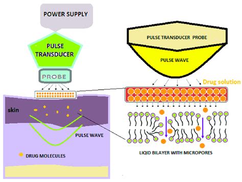 Schematic Diagram Showing Pulse Wave Transdermal Drug Delivery