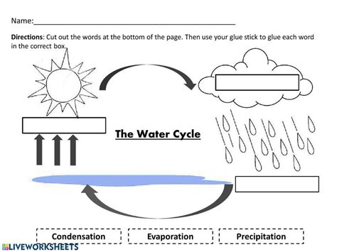 Water Science Activity Packet 14pages Worksheets Library