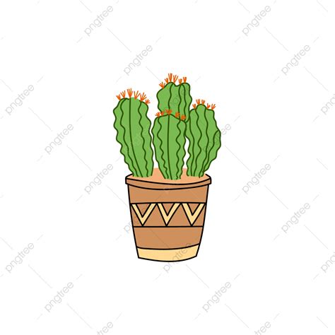 Gambar Tanaman Cactus Vektor Vektor Pola Dekoratif Kartun PNG Dan