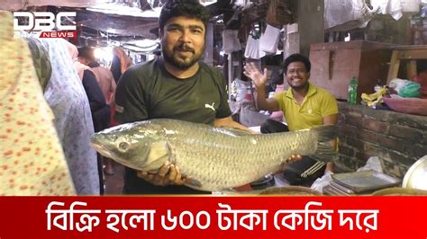 চিত্রা নদীতে মিলেছে ১৬ কেজি ওজনের মাছ Dbc News Youtube