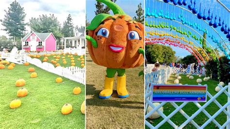 A Caserta c è questo giardino di zucche spettacolare è amatissimo