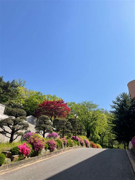 Yonsei University Seoul South Korea Dorms University Korean