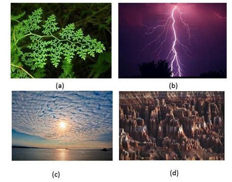 Gambar 3 Contoh Sebagian Objek Alam Yang Merupakan Fraktal A Bentuk Download Scientific