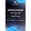 Kromozomlar Temel Kavramlar Ve Mekanizmalar