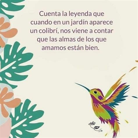 Leyenda del colibrí vitafeet