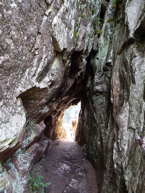 Sued Vogesen Elsass Col De La Schlucht Frankenthal Hohneck