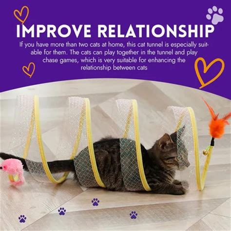 Shenzhenxulizx Interactive Collapsible Spiral Cat Tunnel Toy With Plush