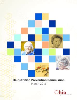 Fillable Online Aging Ohio Malnutrition Prevention Commission Report