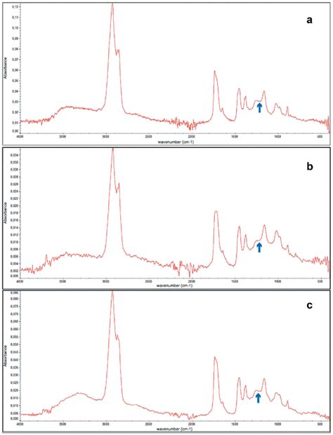 A C Fourier Transformed Infrared Spectra Ft Ir Of The Amber Pieces