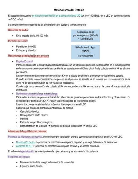 Metabolismo Del Potasio JIMENA LOPEZ UDocz