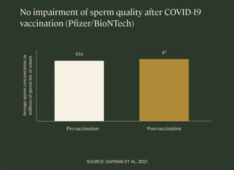 Do The COVID 19 Vaccines Affect Male Fertility Give Legacy