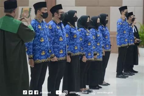 Pp Manajemen Asn Tenaga Honorer Akan Segera Diangkat Asn Ini Dia 5