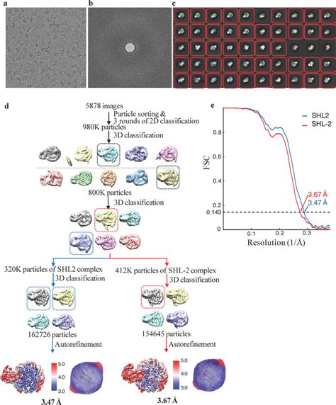 Cryo Em Structure