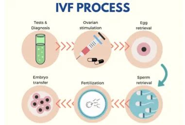 Why Does IVF Fail With Good Embryos Nisha IVF Centre