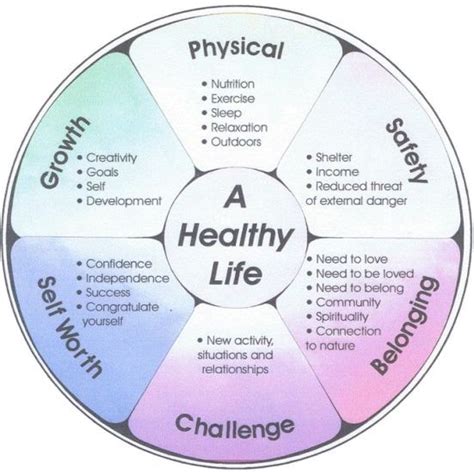 Wellness Wheel Wellness Wheel Life Coping Skills