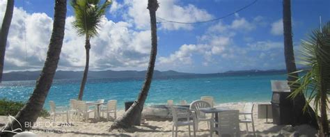 Soggy Dollar Bearch Bar on Jost Van Dyke BVI | Blue Ocean Booking