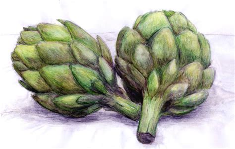 Artichokes Watercolor Pencil By ~cherry San On Deviantart Watercolor Pencils