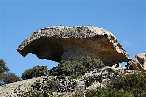 Lo Sapevate In Sardegna Esistono Tante Rocce Parlanti Ecco Quali