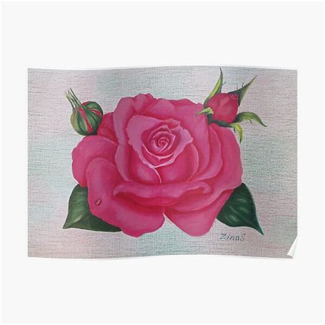 Pink Rose Poster By ZinaStromberg Redbubble