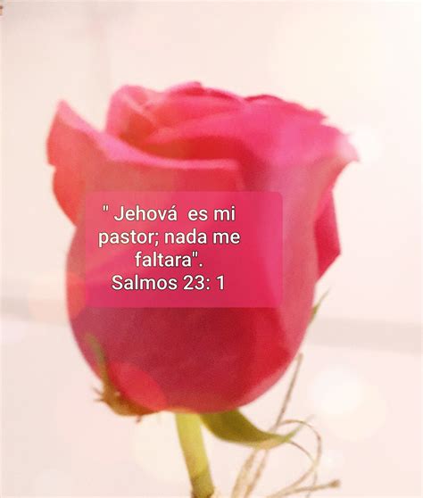 Pin De PRINCESITA En SOLO DIOS ES AMOR VERDADERO Frases De La Biblia