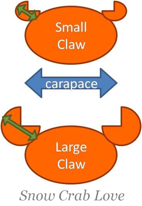 Snow Crab Love Size Matters