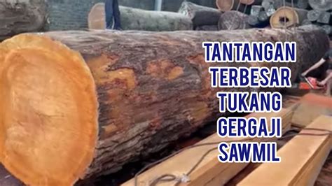 Tantangan Terbesar Tukang Gergaji Kayu Adalah Kayu Besar Youtube