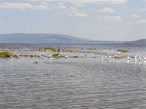 The Cliff Nakuru - Kenya - Kalama Safaris