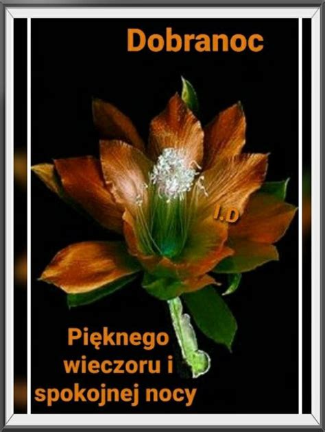 Pin di Bronisława Dąbrowska su Zapisane przeze mnie Foto di fiori