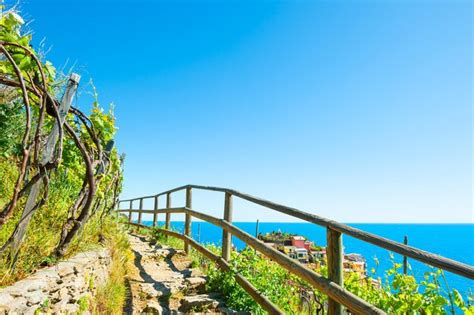 Premium Photo Pathway In Vineyards Beautiful Sea View Manarola Village In Cinque Terre