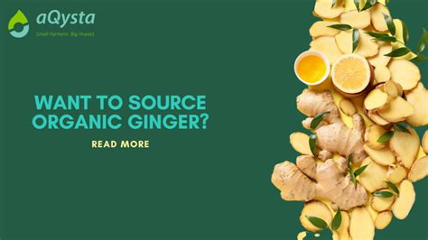 BIO Organic Ginger