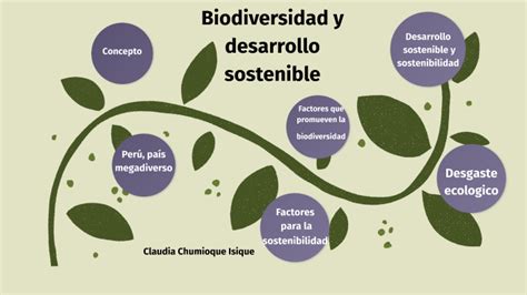 Biodiversidad Y Desarrollo Sostenible By Alejandro Chumioque Llontop On