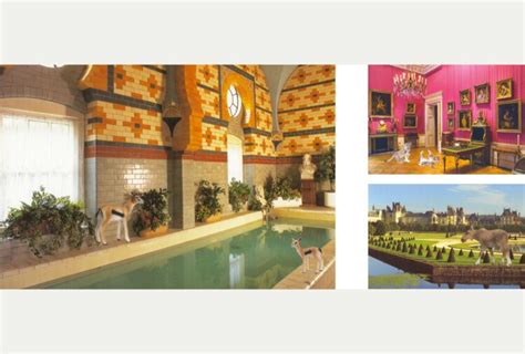 8 Hot Sexy Vikky Alexander Bikini Pics