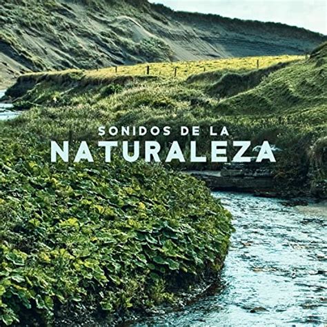 Amazon Musicでmeditacion Música Ambienteのsonidos De La Naturaleza