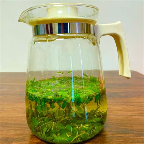 正品广西野生鸡骨草茶鸡骨草叶茶中草药鸡骨草藤茶500g泡茶凉茶虎窝淘