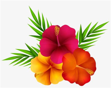 tropical flower clip art 10 free Cliparts | Download images on ...