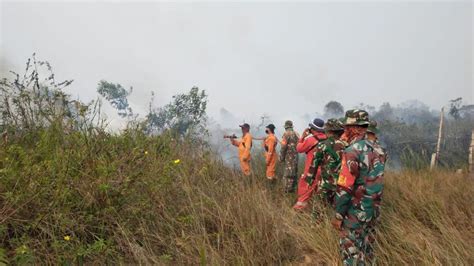 Tingkatkan Kesiagaan Satgas Karhutla Kembali Datangi Sejumlah Tkp Titik