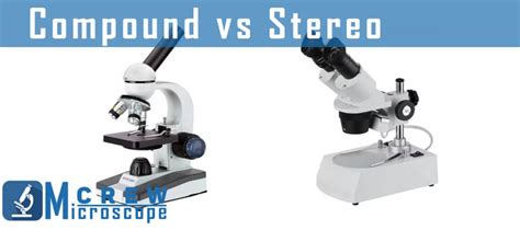 Compound Microscope Vs Stereo Microscope Microscope Crew