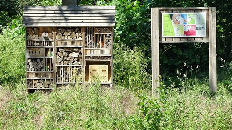 Diy Een Insectenhotel Maken Rijk Leven Zuidlimburg