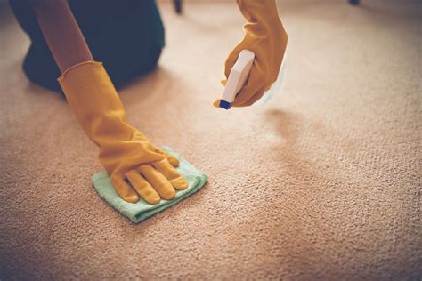 How To Get Paint Out Of Carpet In Simple Steps Cleaning Hacks