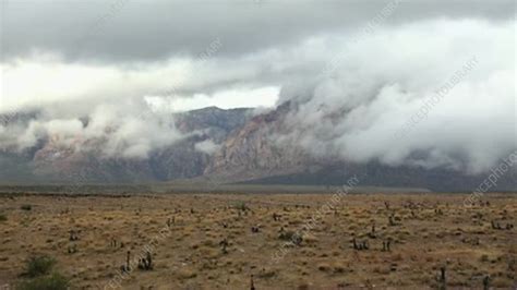 Mojave desert after rain - Stock Video Clip - K004/6033 - Science Photo ...