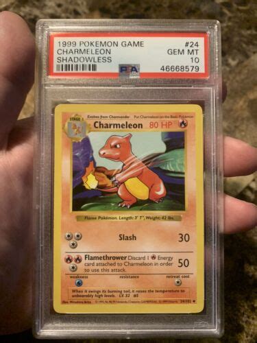 1999 Pokemon Base Set Charmeleon Shadowless PSA 10 24 102 EBay