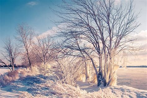 Snow Photography Tips: How to Photograph and Edit Snowy Scenes ...